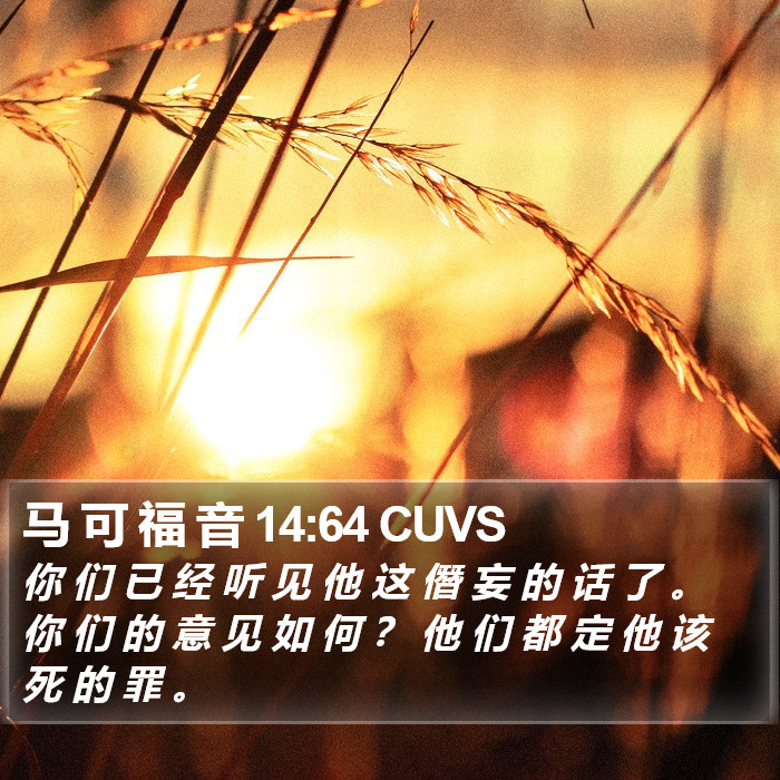 马 可 福 音 14:64 CUVS Bible Study