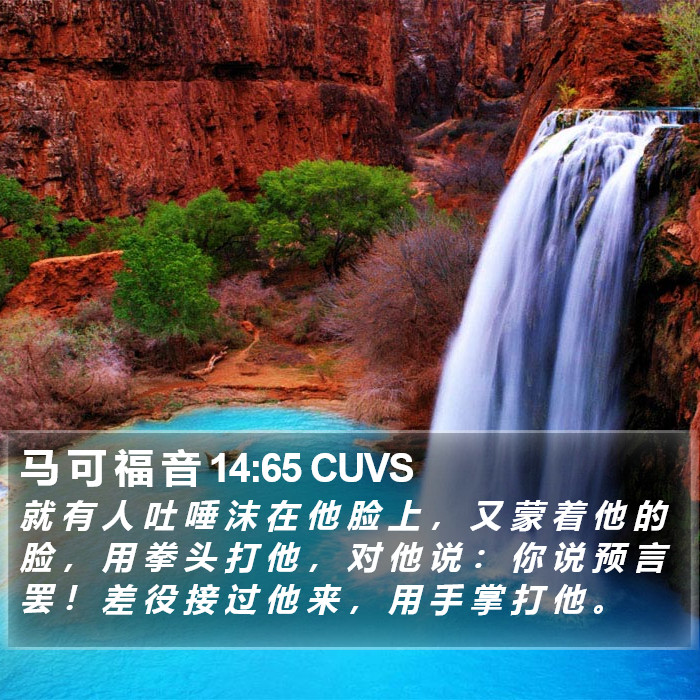 马 可 福 音 14:65 CUVS Bible Study