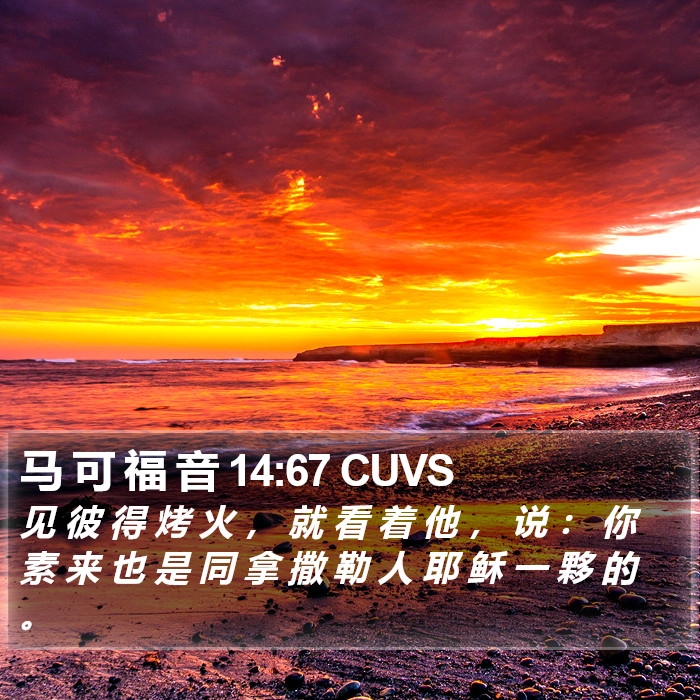 马 可 福 音 14:67 CUVS Bible Study