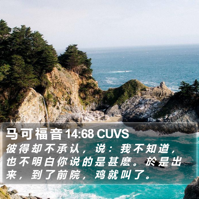 马 可 福 音 14:68 CUVS Bible Study