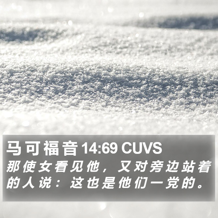 马 可 福 音 14:69 CUVS Bible Study