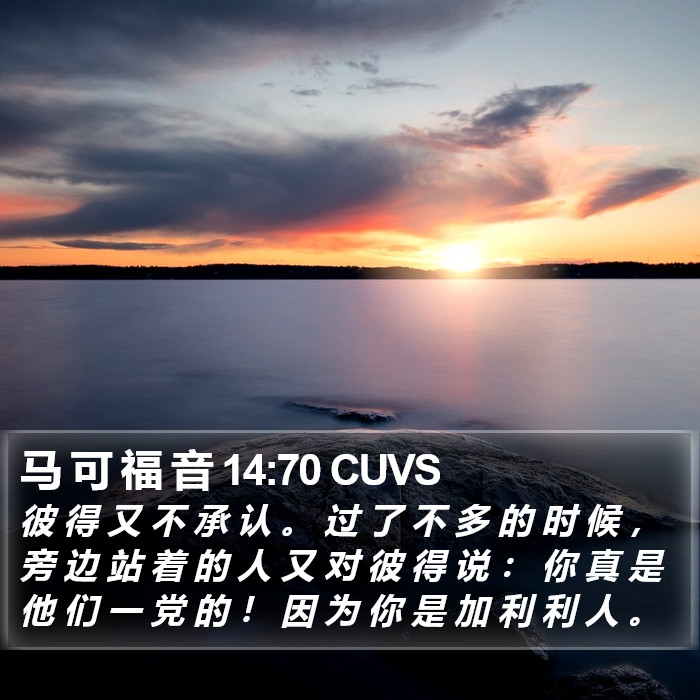 马 可 福 音 14:70 CUVS Bible Study