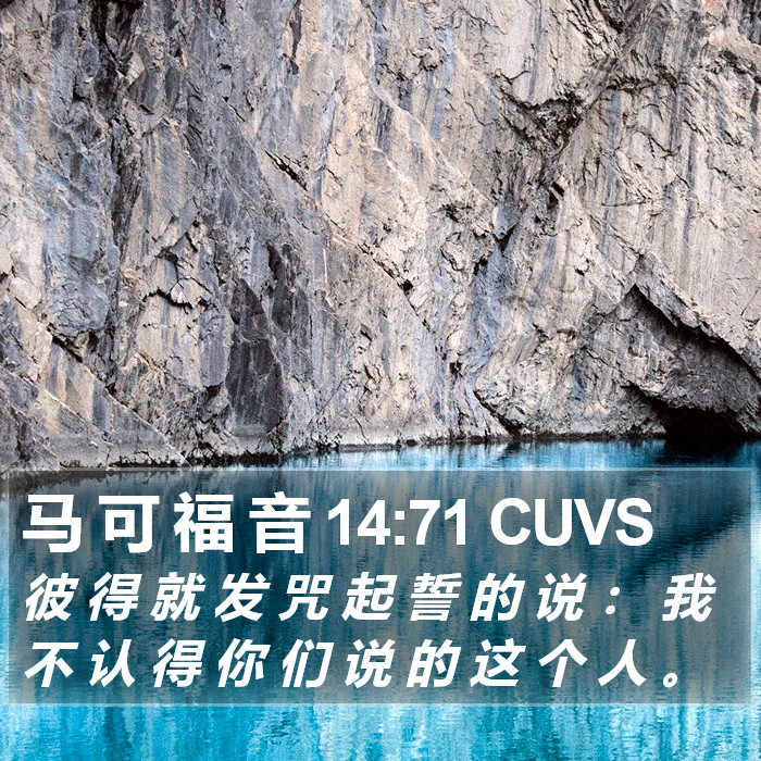 马 可 福 音 14:71 CUVS Bible Study