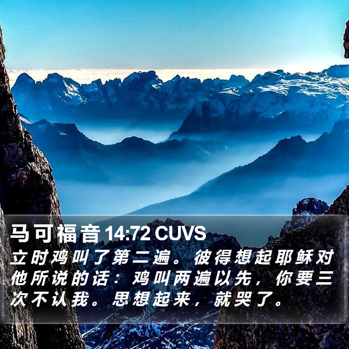 马 可 福 音 14:72 CUVS Bible Study