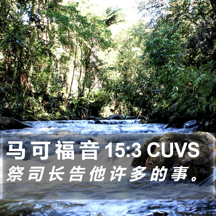 马 可 福 音 15:3 CUVS Bible Study