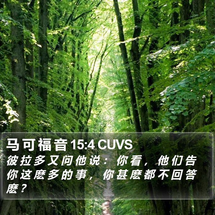 马 可 福 音 15:4 CUVS Bible Study