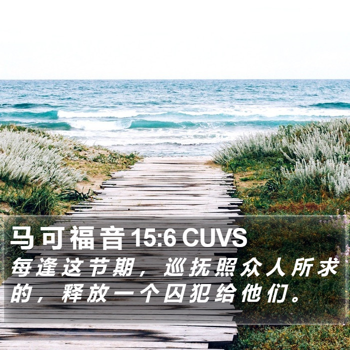 马 可 福 音 15:6 CUVS Bible Study