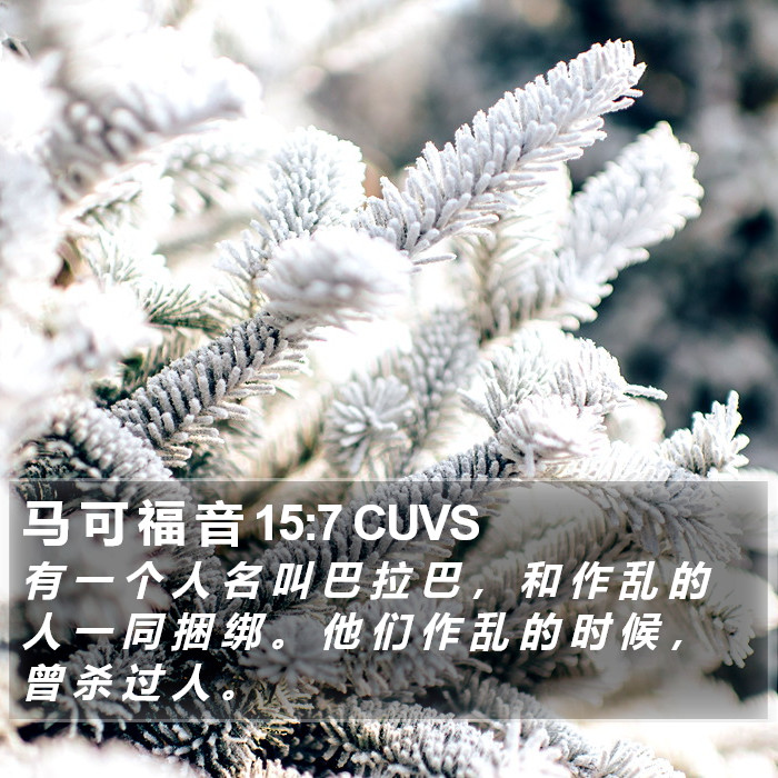 马 可 福 音 15:7 CUVS Bible Study