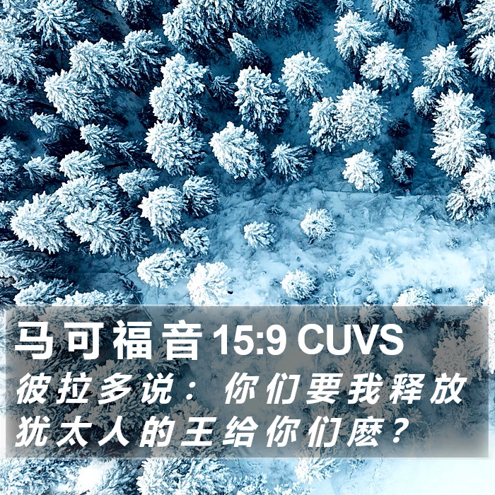 马 可 福 音 15:9 CUVS Bible Study