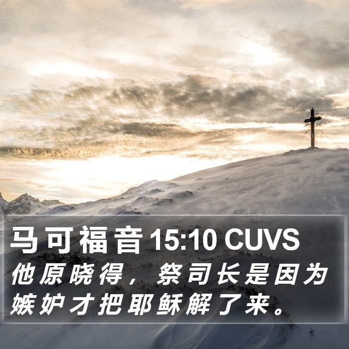 马 可 福 音 15:10 CUVS Bible Study