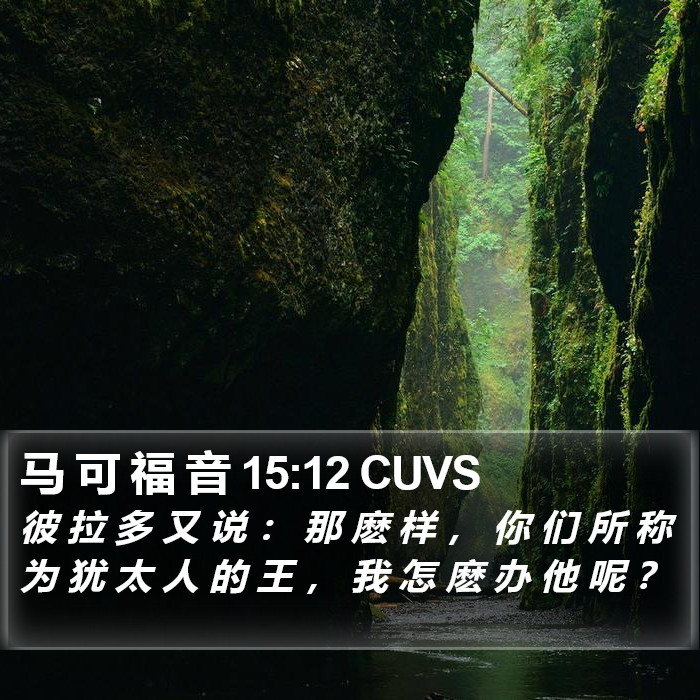 马 可 福 音 15:12 CUVS Bible Study