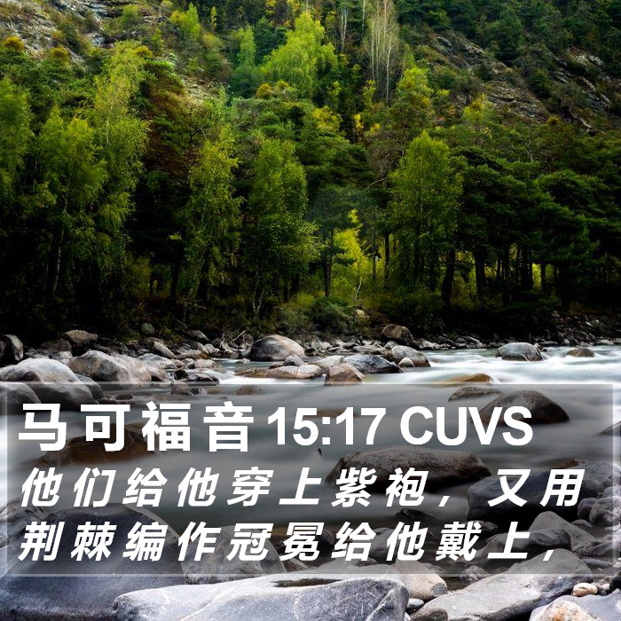 马 可 福 音 15:17 CUVS Bible Study