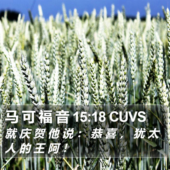 马 可 福 音 15:18 CUVS Bible Study