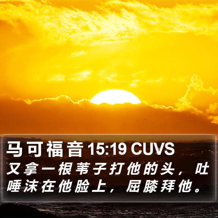 马 可 福 音 15:19 CUVS Bible Study