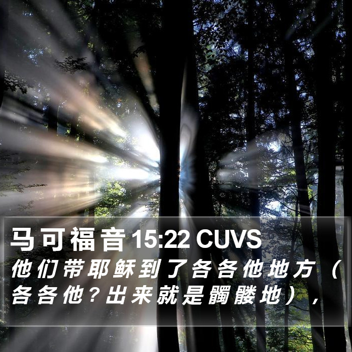 马 可 福 音 15:22 CUVS Bible Study