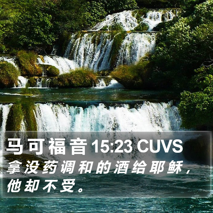 马 可 福 音 15:23 CUVS Bible Study