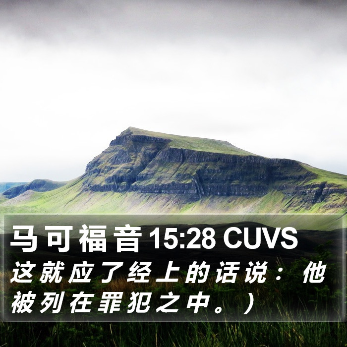 马 可 福 音 15:28 CUVS Bible Study