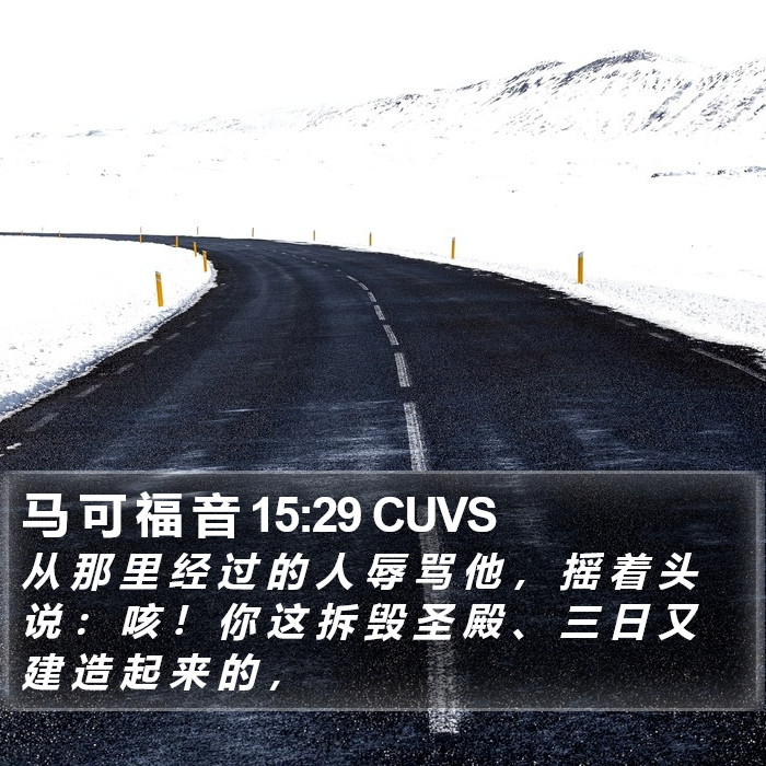 马 可 福 音 15:29 CUVS Bible Study