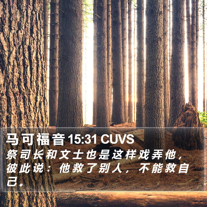 马 可 福 音 15:31 CUVS Bible Study