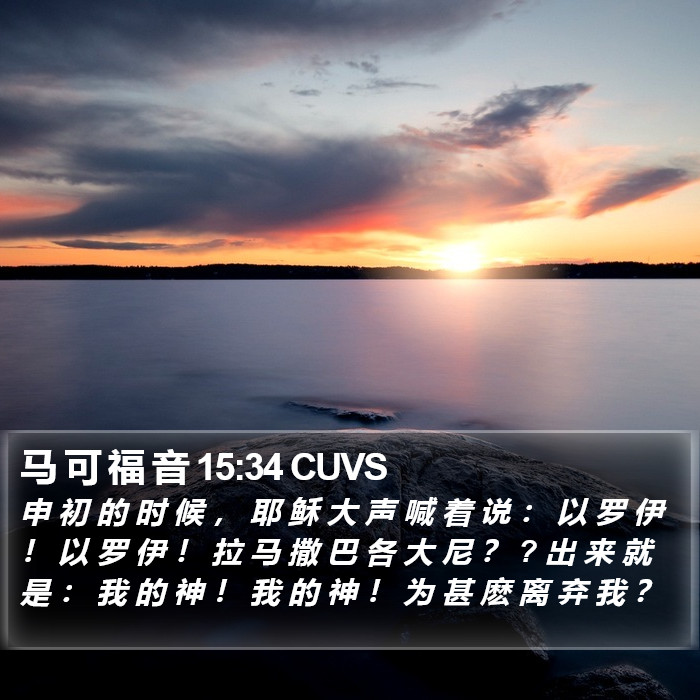 马 可 福 音 15:34 CUVS Bible Study