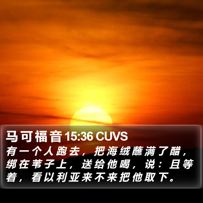 马 可 福 音 15:36 CUVS Bible Study