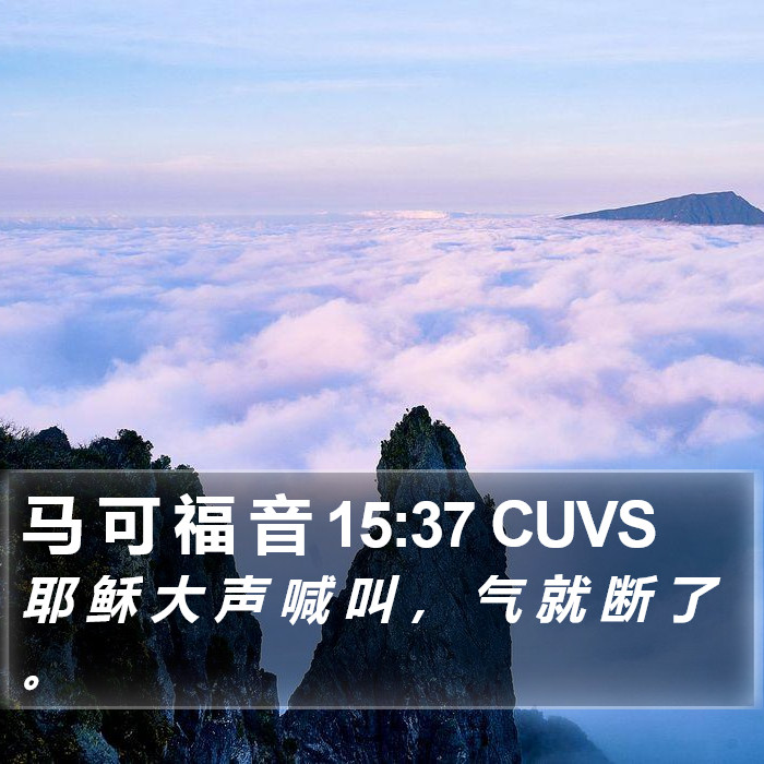 马 可 福 音 15:37 CUVS Bible Study