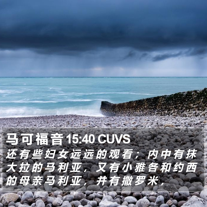 马 可 福 音 15:40 CUVS Bible Study