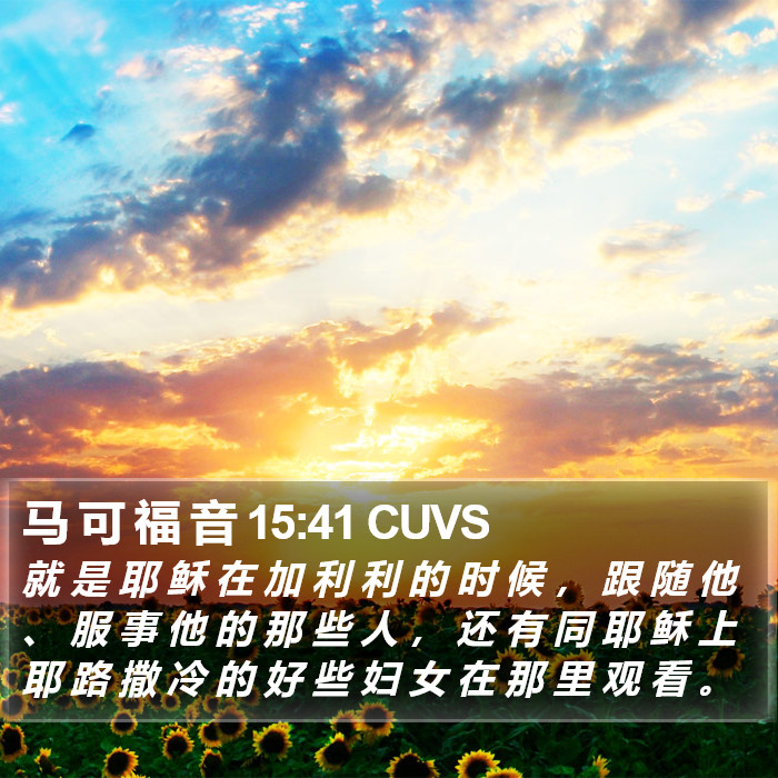 马 可 福 音 15:41 CUVS Bible Study