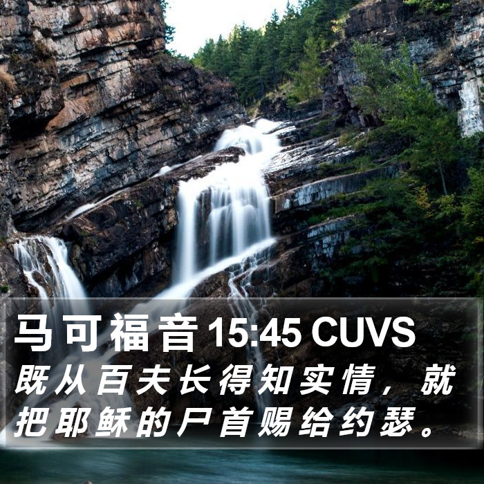 马 可 福 音 15:45 CUVS Bible Study