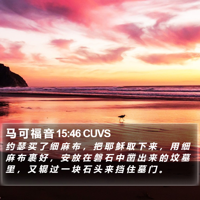 马 可 福 音 15:46 CUVS Bible Study