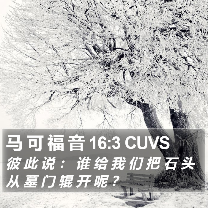 马 可 福 音 16:3 CUVS Bible Study