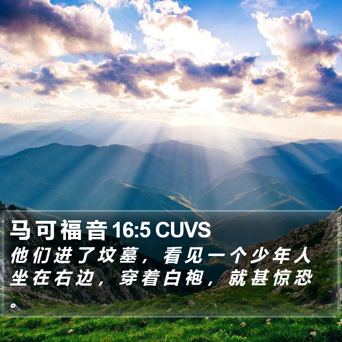 马 可 福 音 16:5 CUVS Bible Study