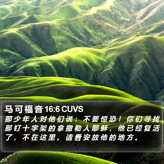 马 可 福 音 16:6 CUVS Bible Study