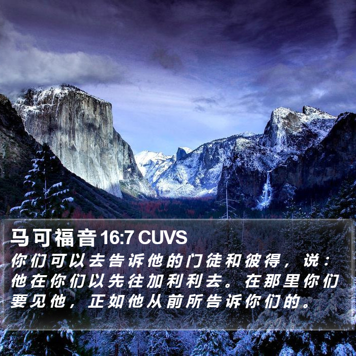 马 可 福 音 16:7 CUVS Bible Study