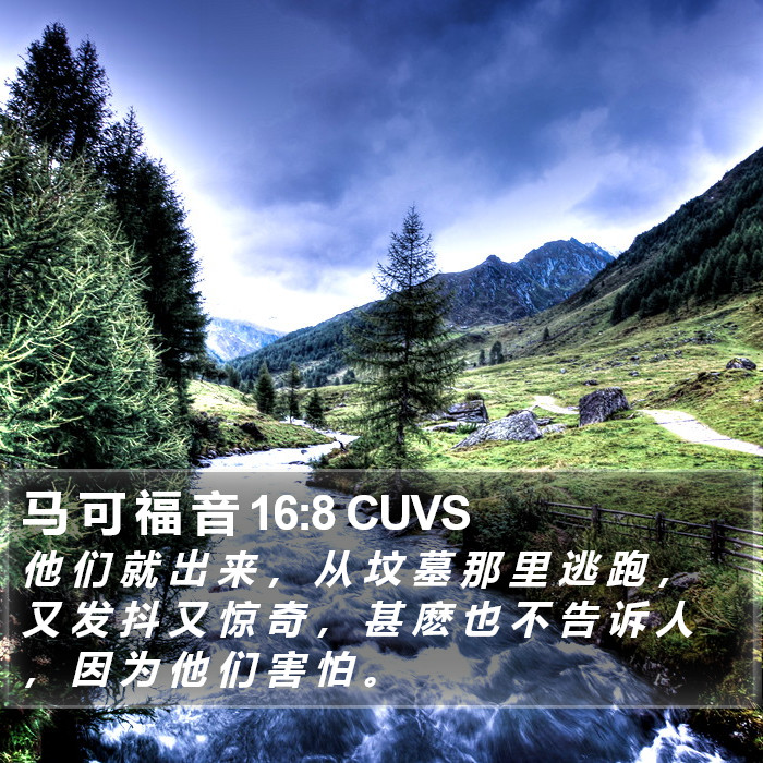 马 可 福 音 16:8 CUVS Bible Study