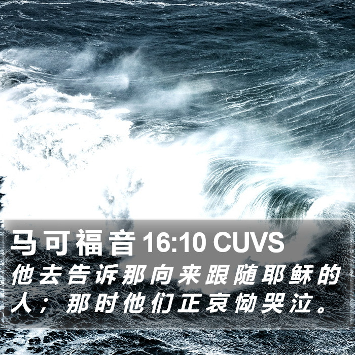 马 可 福 音 16:10 CUVS Bible Study