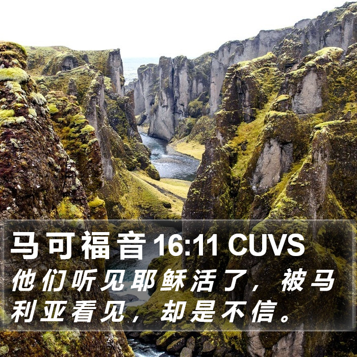 马 可 福 音 16:11 CUVS Bible Study