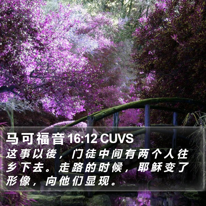 马 可 福 音 16:12 CUVS Bible Study