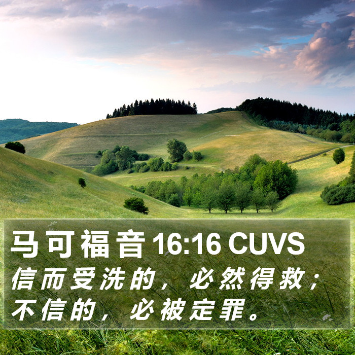 马 可 福 音 16:16 CUVS Bible Study