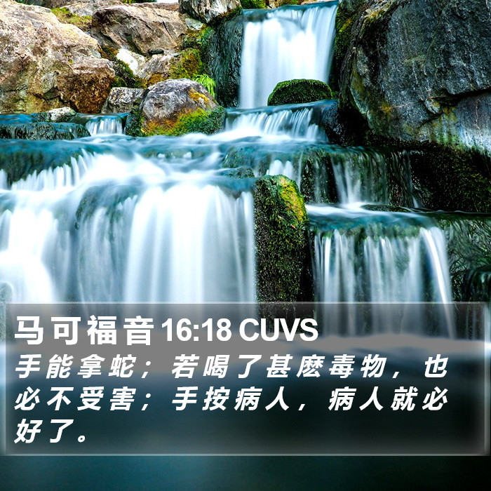 马 可 福 音 16:18 CUVS Bible Study