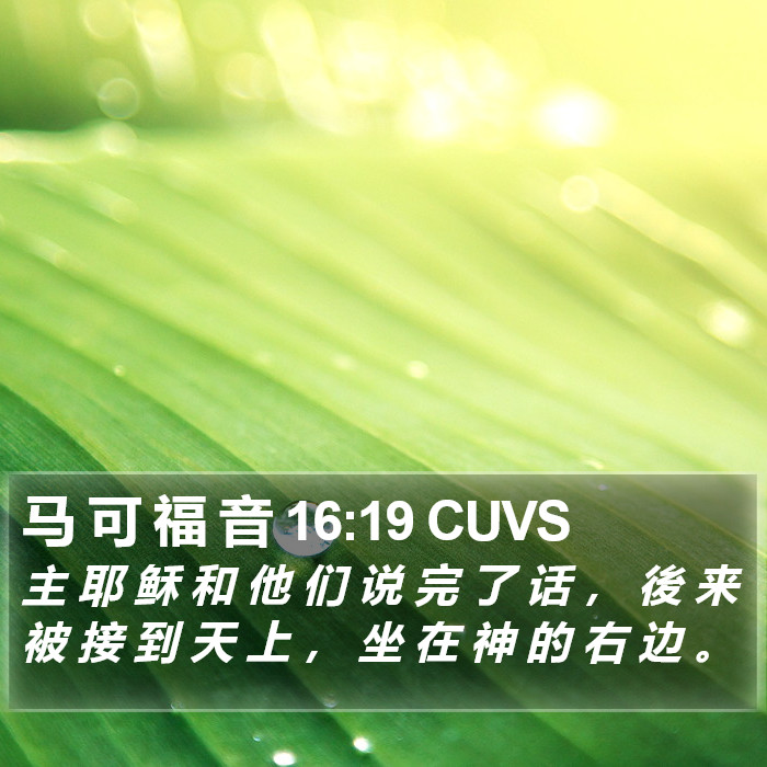 马 可 福 音 16:19 CUVS Bible Study