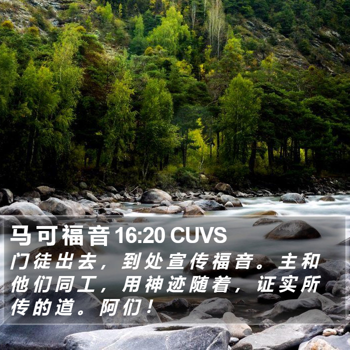 马 可 福 音 16:20 CUVS Bible Study