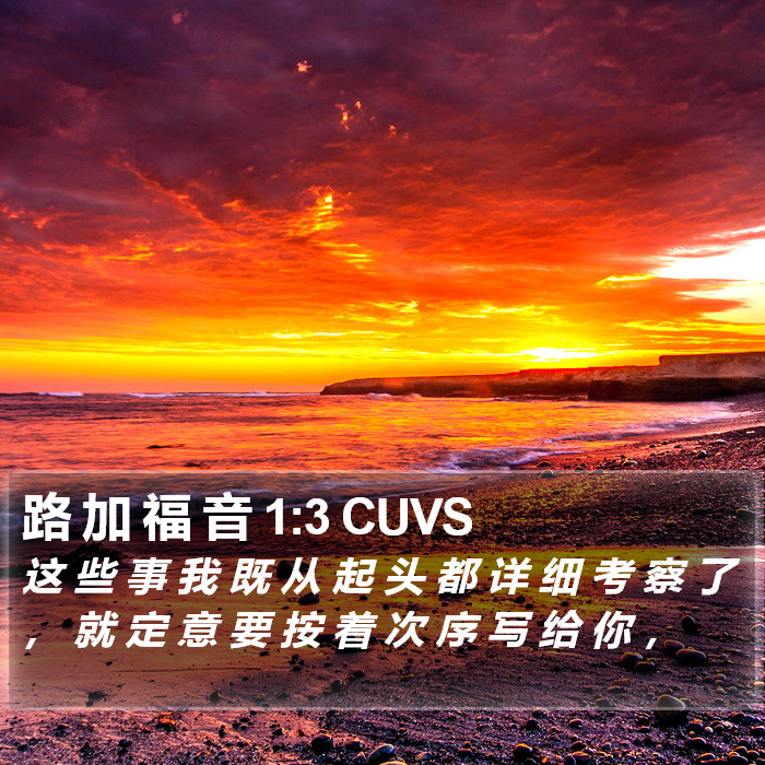 路 加 福 音 1:3 CUVS Bible Study