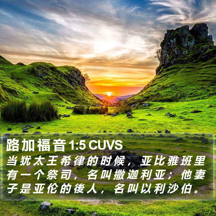 路 加 福 音 1:5 CUVS Bible Study