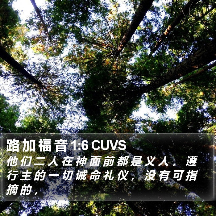 路 加 福 音 1:6 CUVS Bible Study