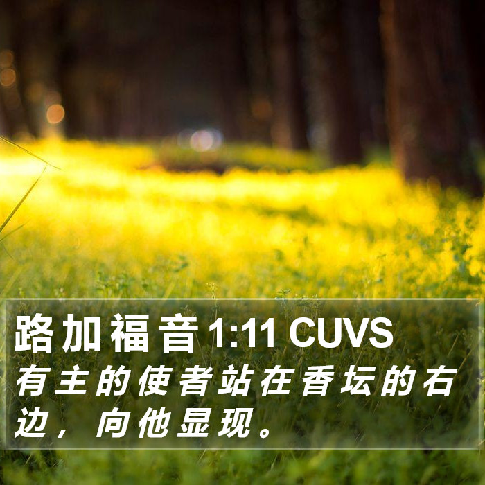 路 加 福 音 1:11 CUVS Bible Study