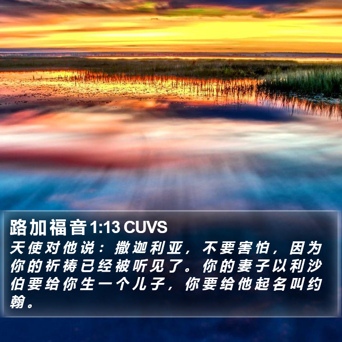 路 加 福 音 1:13 CUVS Bible Study