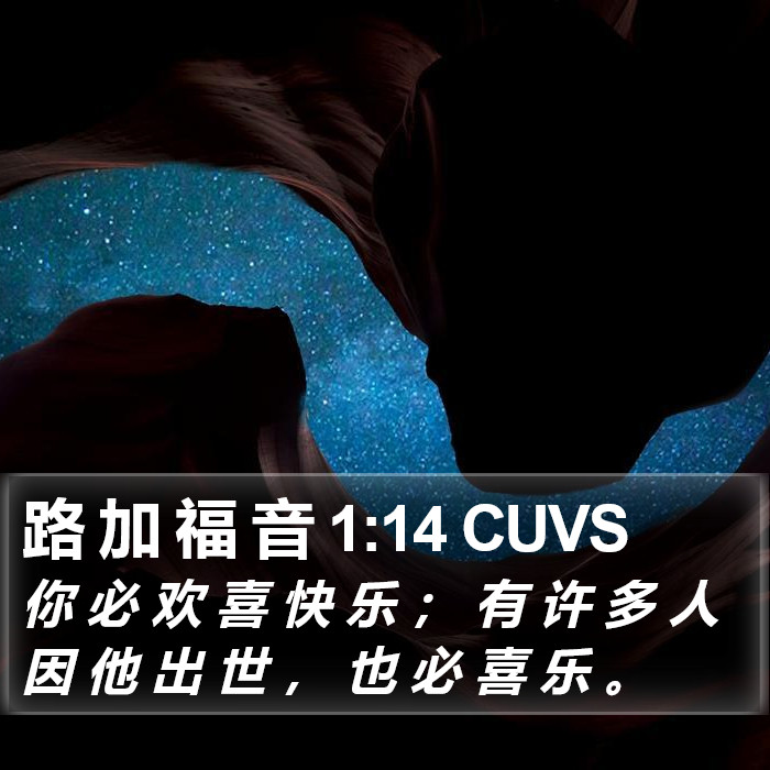 路 加 福 音 1:14 CUVS Bible Study