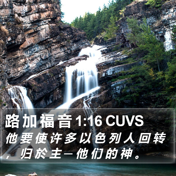 路 加 福 音 1:16 CUVS Bible Study