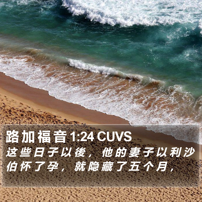 路 加 福 音 1:24 CUVS Bible Study